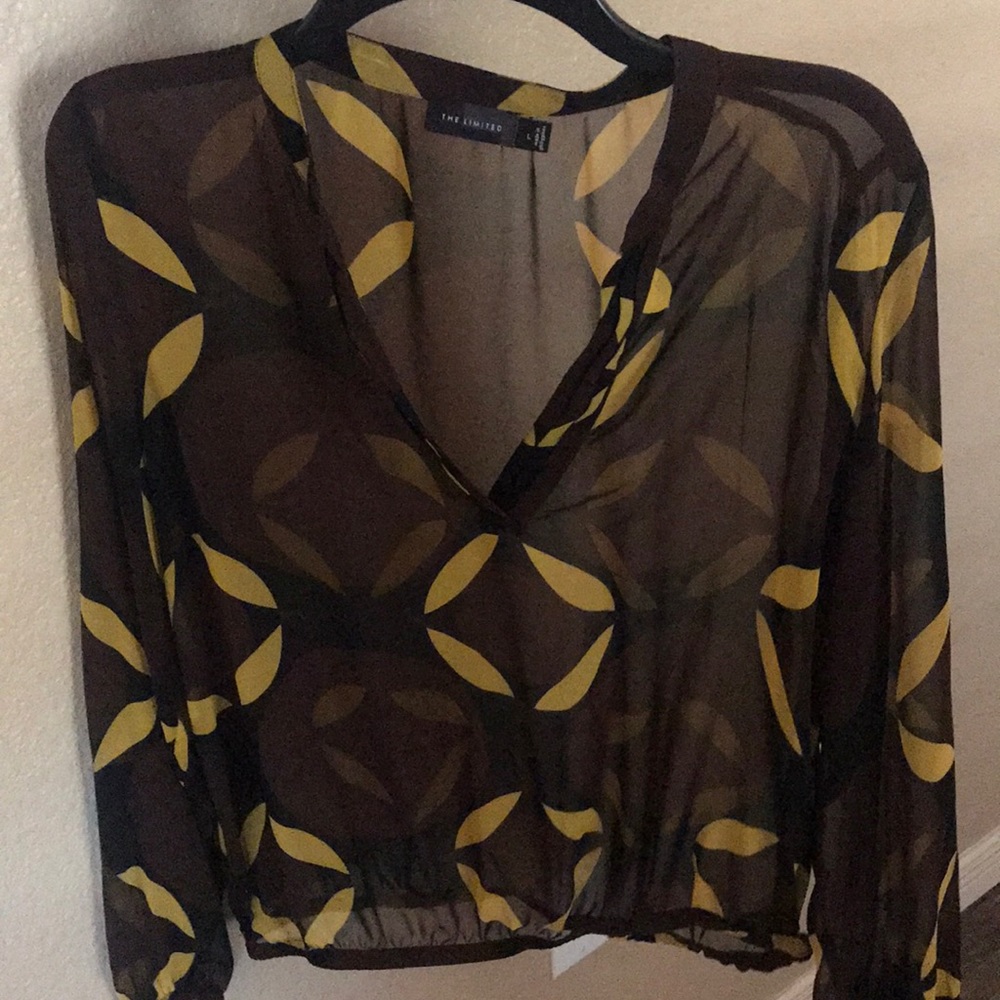 THE LIMITED sheer blouse